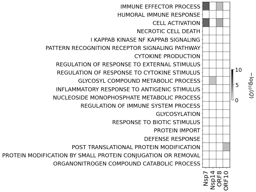 _images/output_37_0.png